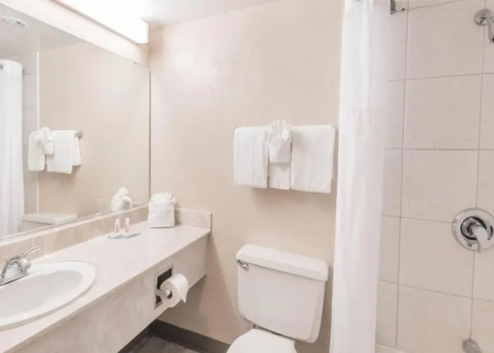 Hotel Buckeye Express Columbus