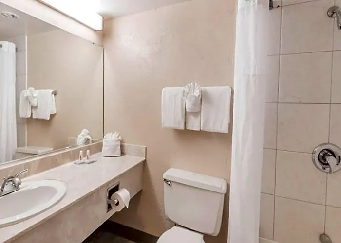 Hotel Buckeye Express Columbus